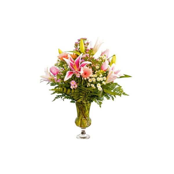 Bergamot - Image 3