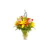 Amaranth - Image 4